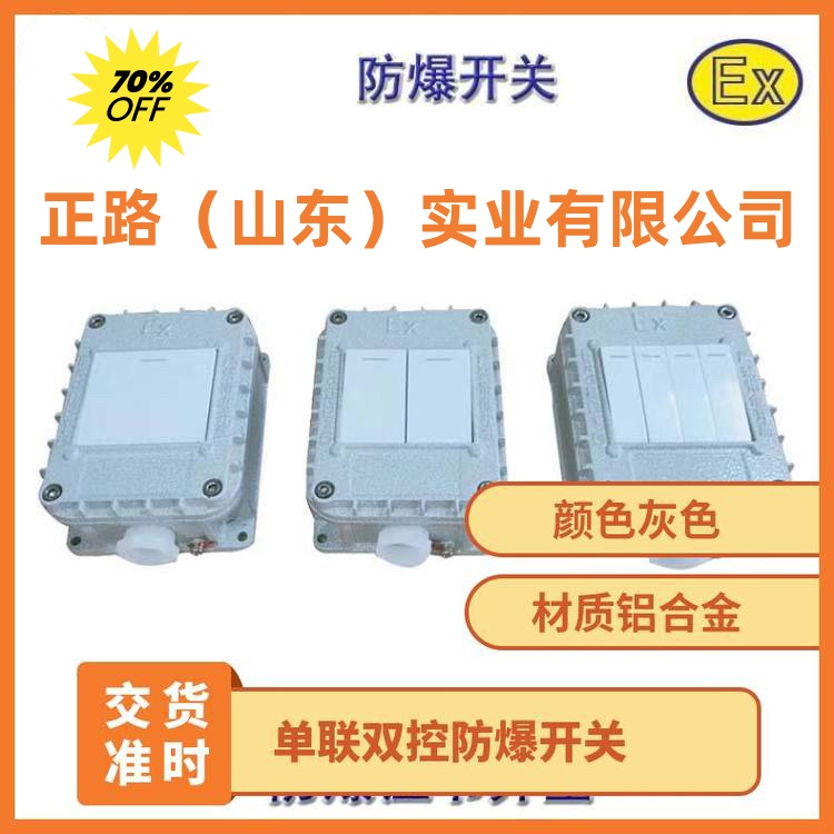 防爆照明开关 铝合金单联双联三联四联墙壁开关 防腐WF2  明装暗装