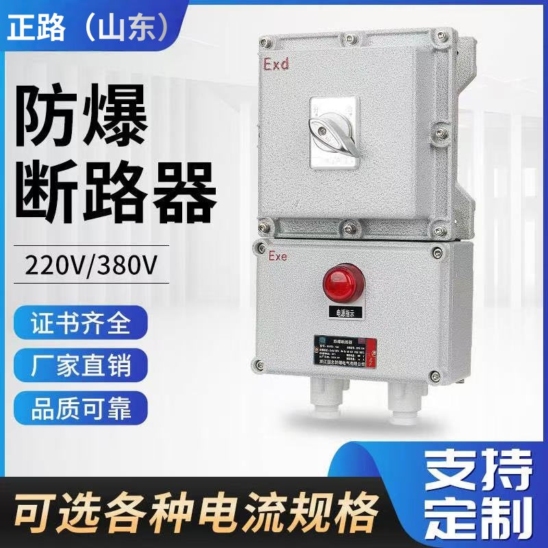 防爆断路器 挂式220V 空气开关带漏电保护380V 明装单开 开关箱
