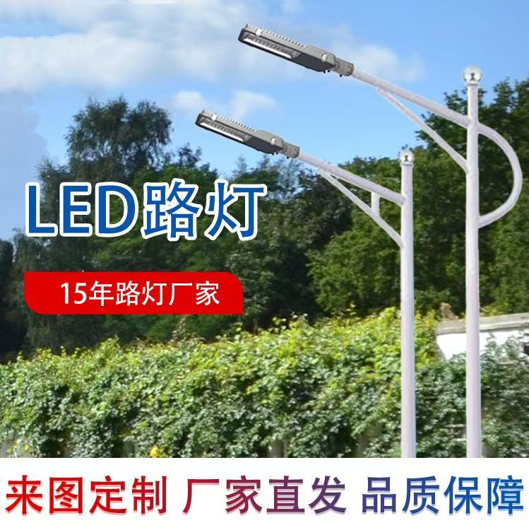 LED热镀锌 5米7米 市政道路照明 高速路市电路灯杆厂家