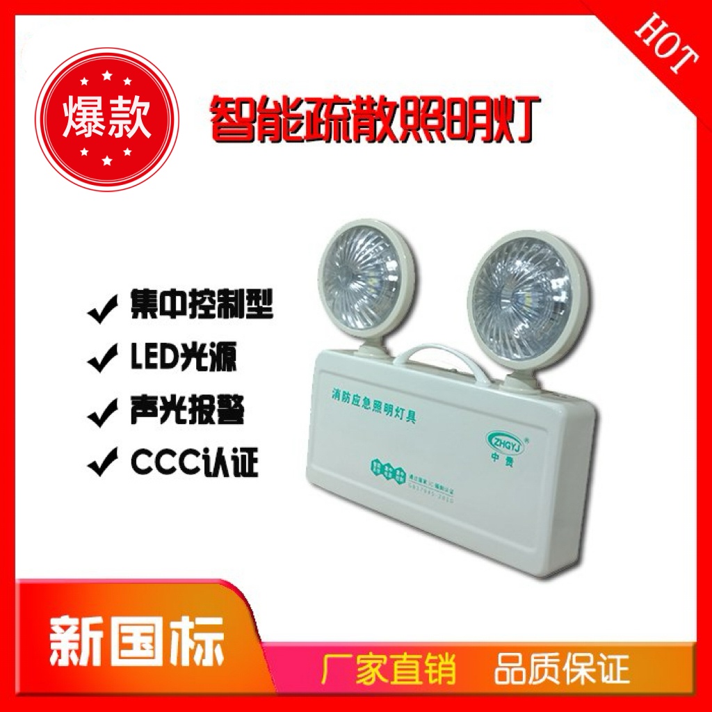 商用疏散安全出口灯壁挂指示灯 集中电源集中控制型消防应急灯